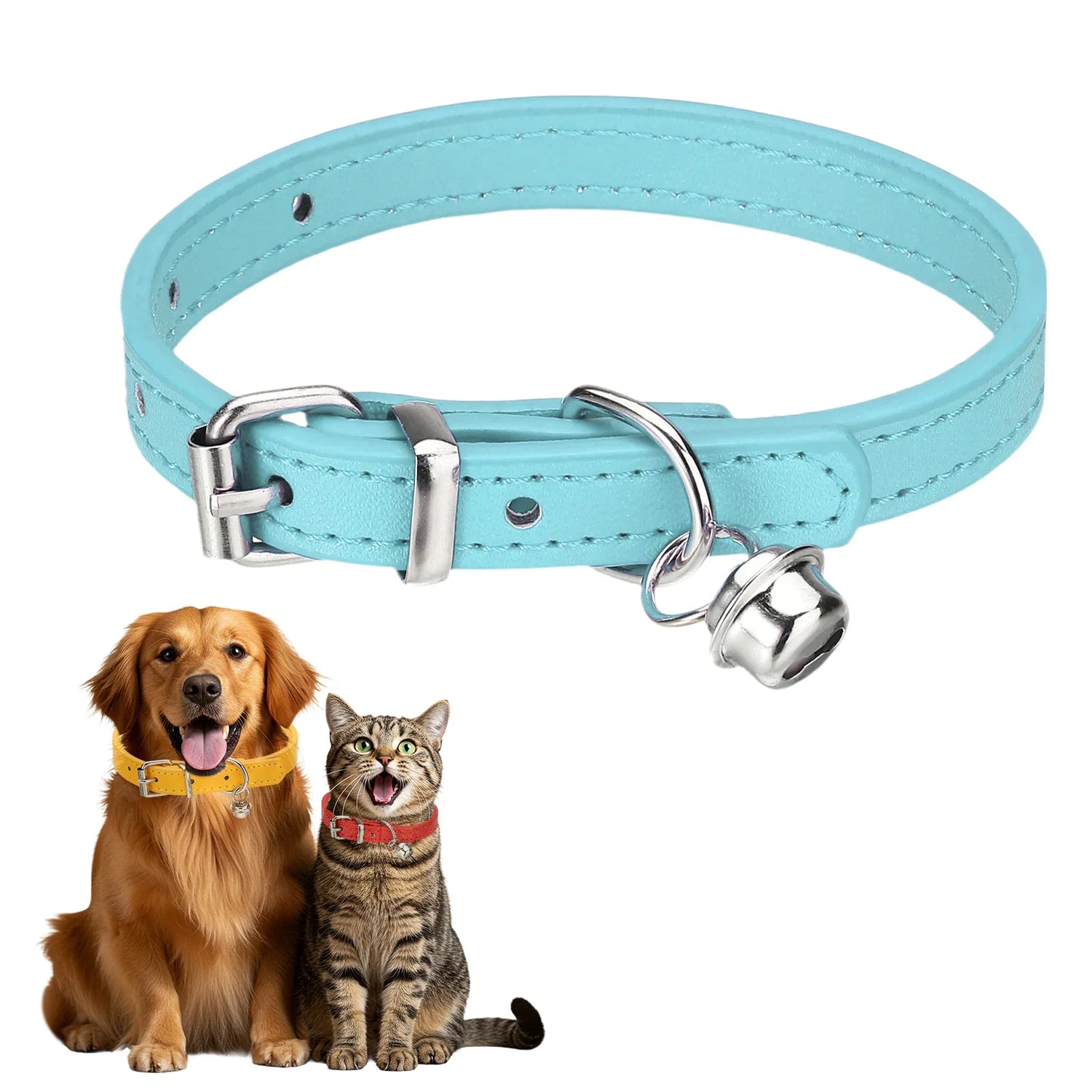Collars and Leashes