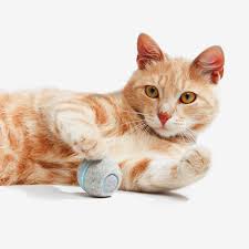 Cat Toy Balls