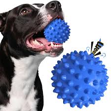Pet Toy Balls
