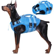 Waterproof Collars and Leashes