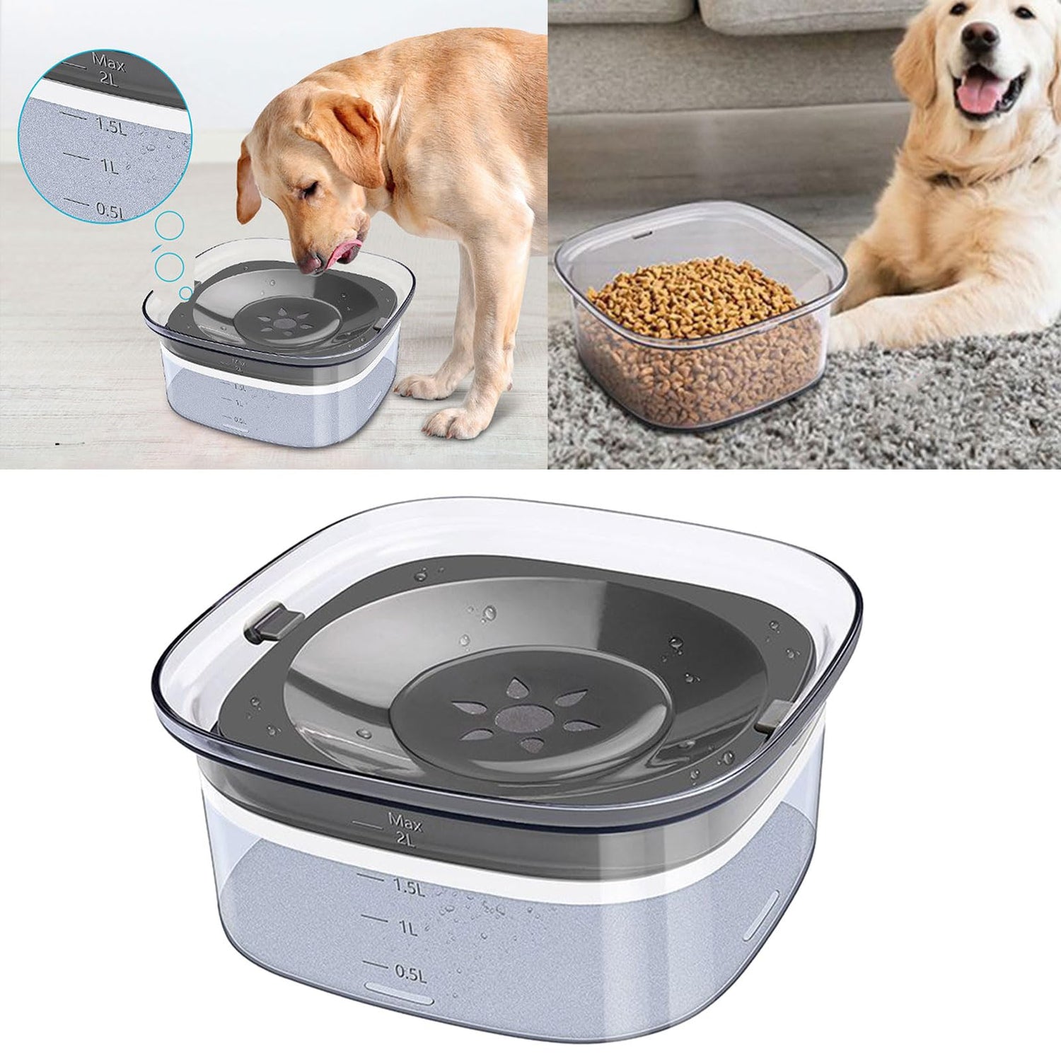 Water Dish